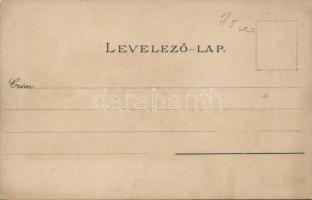 Budapest I. Várpalota litho s: Raoul Frank