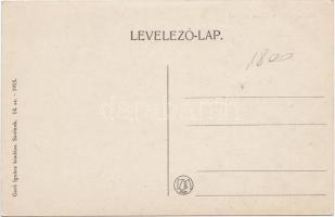 Szolnok Tisza-part, gőzhajó