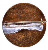 ~1950. "M.N.D.SZ. Népegészségőr" zománcozott jelvény T:2