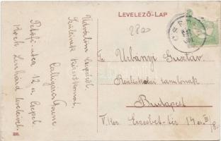 Budapest XXI. Csepel; Tölténygyár