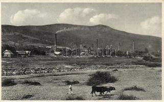 Nagybocskó Klotilda factory