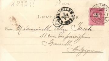 1893 (!!) Budapest litho