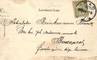 Arad Liberty square, floral litho (fl)