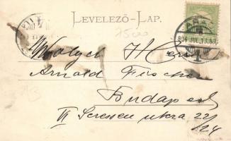 Arad, town hall, collage