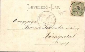 Pécska Szent János tér, Holzeisen József kereskedése / square with shop