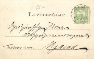 Borossebes, Venkheim-kastély, Steiner Samu kereskedése, kaszinó / castle, shop, casino