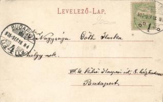 Vízakna-Sósgyógyfürdő, Villa Louise, floral