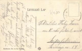 Hosszúmező main street