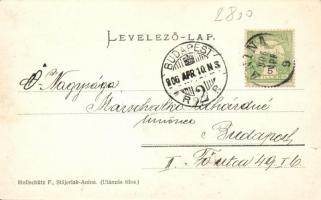 Anina Thinnfeld-akna, mine