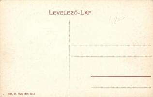 Arad boy school, the shops of Sebestyén Rácz and László Varhol