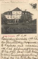 Príchovice castle (EK)