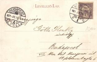 Kolozsvár Mátyás square, Palace Status, shops