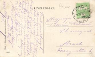 Marosludas Király utca, Mihály Móric kereskedése / street, shop