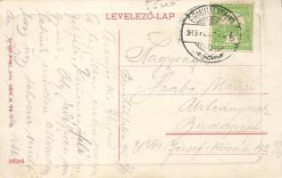 Érmihályfalva Főtér, gyógyszertár a Sashoz / main square, pharmacy