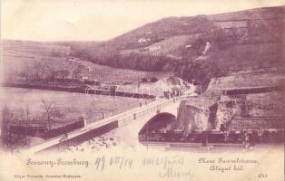 1899 Pozsony tunnel bridge