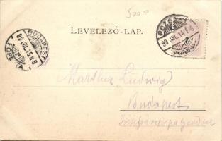 1899 Pozsony tunnel bridge