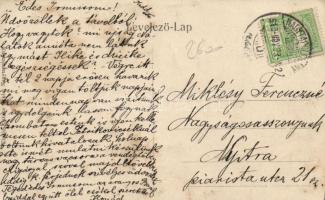 Nagytapolcsány Deák square, market