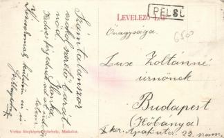 Pelsőc railway station