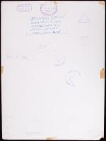 1958 Belházy Dezső: Nylon kendő. Hátoldalán jelzett, 40x30cm