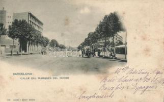 Barcelona, Marques del Duero Street (wet damage)