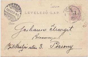 1899 Pozsony market place