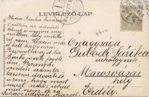 Pozsony Stefánia út / street, tram