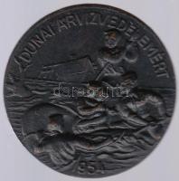 1954. Dunai Árvízvédelemért bronz jelvény tű nélkül T:2-