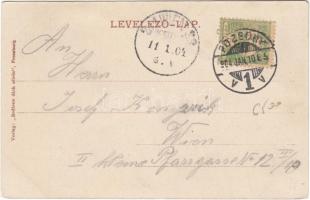 Pozsony Vörös híd / bridge