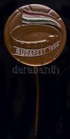 1954. Magyarország-Anglia futball mérkőzés "Budapest 1954" festett kitűzője T:2
