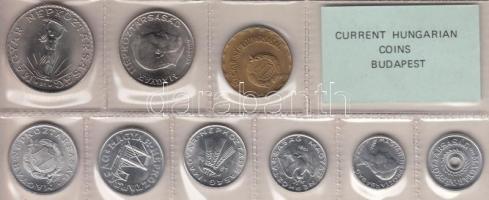 1981. 2f-10Ft 9db klf érmés forgalmi sor fóliatokban T:1