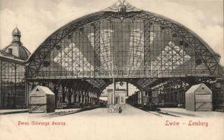 Lviv, the main railway station platform (wet damage)