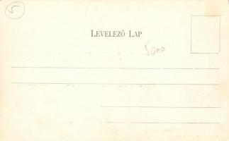 Beregszász Kossuth tér, Arany Oroszlán Szálloda / square, hotel