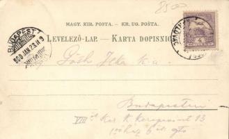 Károlyváros, Karlovac; litho (EK)