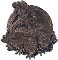 Osztrák-Magyar Monarchia ~1918. "Gruppe G.d.J. -(Gemeinschaft der Jagdflieger)- Erzh. Peter Ferdinand" jelzett ezüst sapkajelvény (10.05g/43x42mm) T:1- Austro-Hungarian Monarchy 1918. "Gruppe G.d.J. Erzh. Peter Ferdinand" hallmarked silver cap badge (10.05g/43x42mm) C:AU