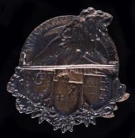 Osztrák-Magyar Monarchia ~1918. "Gruppe G.d.J. -(Gemeinschaft der Jagdflieger)- Erzh. Peter Fer...