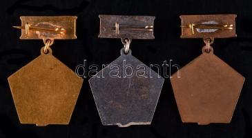 1962-1964. "A Szakma Ifjú Mestere KISZ" bronz, ezüst és arany fokozatú kitüntető jelvények...