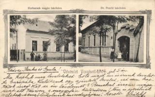 Vecsés, Herbacsek magán lakóháza, Dr. Peschl lakóháza