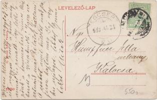 Pankota Csiky Gergely utca, Schweitzer Zsigmond és S. Gáspár Jenő kereskedései / street, shops