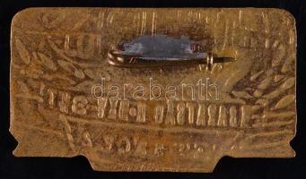 1973. "Barátság II. Kőolajvezeték - Siófok-Százhalombatta" zománcozott jelvény T:2