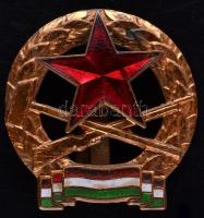 ~1965. "Munkásőr" zománcozott jelvény (50mm) felcsavarozható hátlappal + Munkásőr zománcozott aranyozott jelvény (40mm) T:2