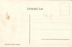 Beodra Bocsársky Zsivko üzlete, kastély / shop, castle