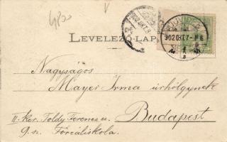 Újvidék Futtaki utca / street