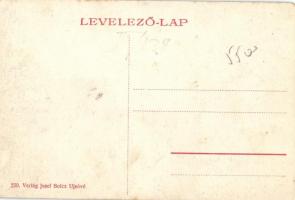 Újsové; az Ó- és Újsóvéi Takarékpénztár Rt. körkemencéje / melting pit