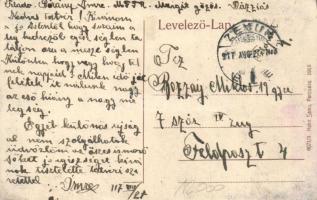 Pancsova in the future