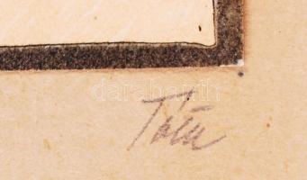 Tóth István (1892 - 1964): Vízimalom a Szamoson. Színezett linó, jelzett, üvegezett keretben, 10×14 ...