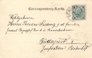 Dvur Králové nad Labem, Königinhof an der Elbe, floral