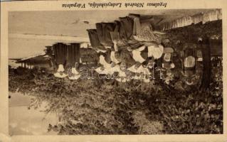 Várpalota Irgalmas nővérek leányiskolája (EK)