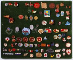 Több mint 70db különféle jelvény és kitűző, sok érdekes darabbal, törzsgárda, vöröskereszt, magyar és külföldi egyaránt, bársony táblára tűzve T:vegyes