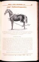 1922 Hufbeschlagwerkzeuge "Dick", Paul F. Dick, Eßlingen a. N., 64p. Illusztrált lószerszá...