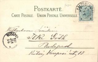 Salzburg, floral litho